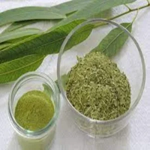 Curry Leaves Powder