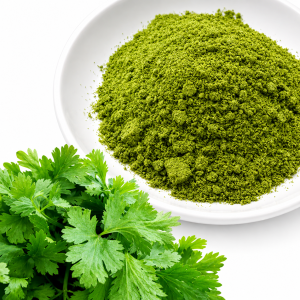 Dried Coriander Leaves