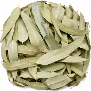 Dried Eucalyptus Leaves