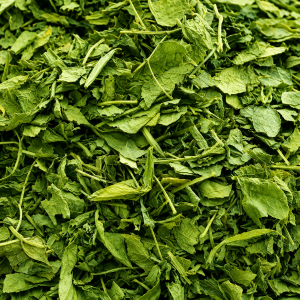 Dried Moringa Leaves