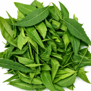 Dried Neem Leaves